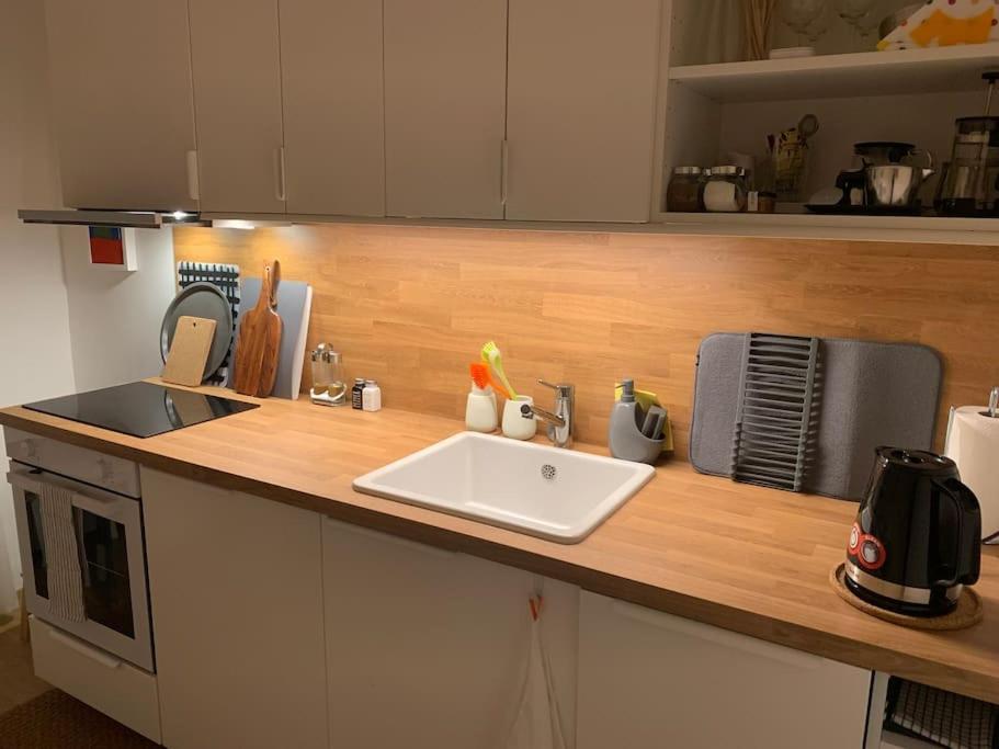 Apartment Near The Home Of Croatian Artists 萨格勒布 外观 照片